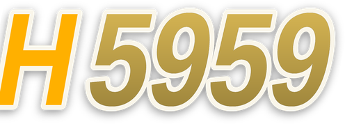 h5959